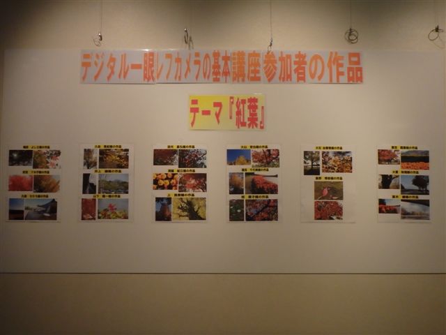 掲示板デジタル一眼レフ参加者作品 003.jpg