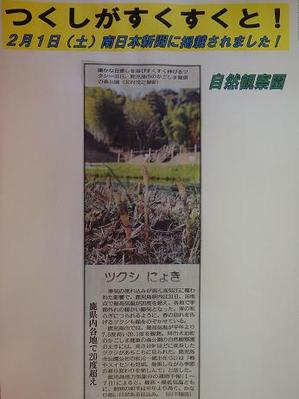 自然観察園ツクシ
