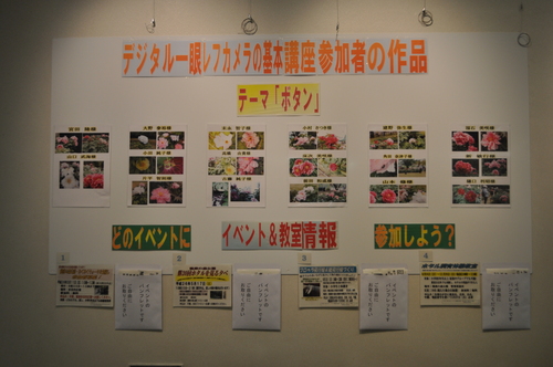 DSC_0001.JPG