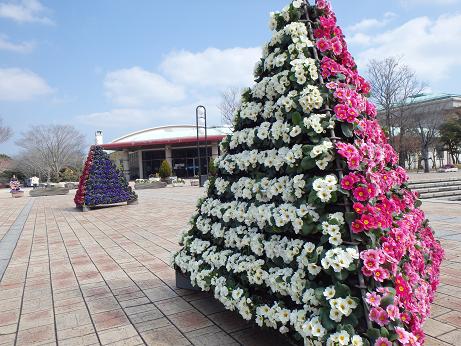 http://k-kouenkousya.jp/kenkou/upload/%EF%BE%8C%EF%BE%9F%EF%BE%98%EF%BE%91%EF%BE%97%EF%BE%8E%EF%BE%9F%EF%BE%98%EF%BD%B1%EF%BE%9D%EF%BD%BB%20%281%29.jpg