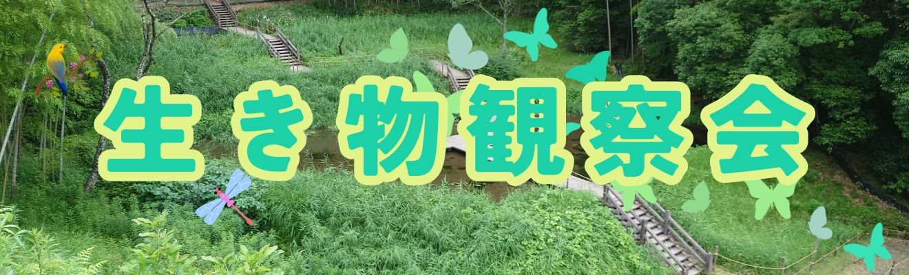 「生き物観察会」の開催について