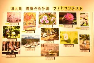 DSC_1417.JPG