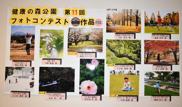 第11回フォトコンテスト.JPG