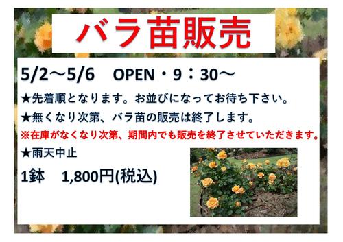 バラ苗2026_page-0001.jpg