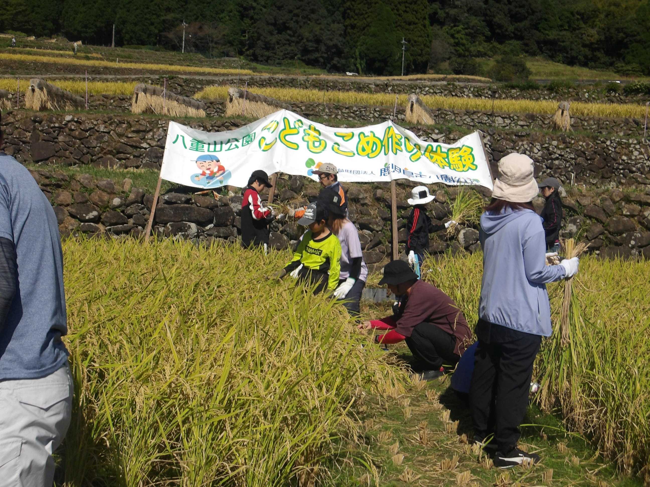 IMGP1212改.JPG